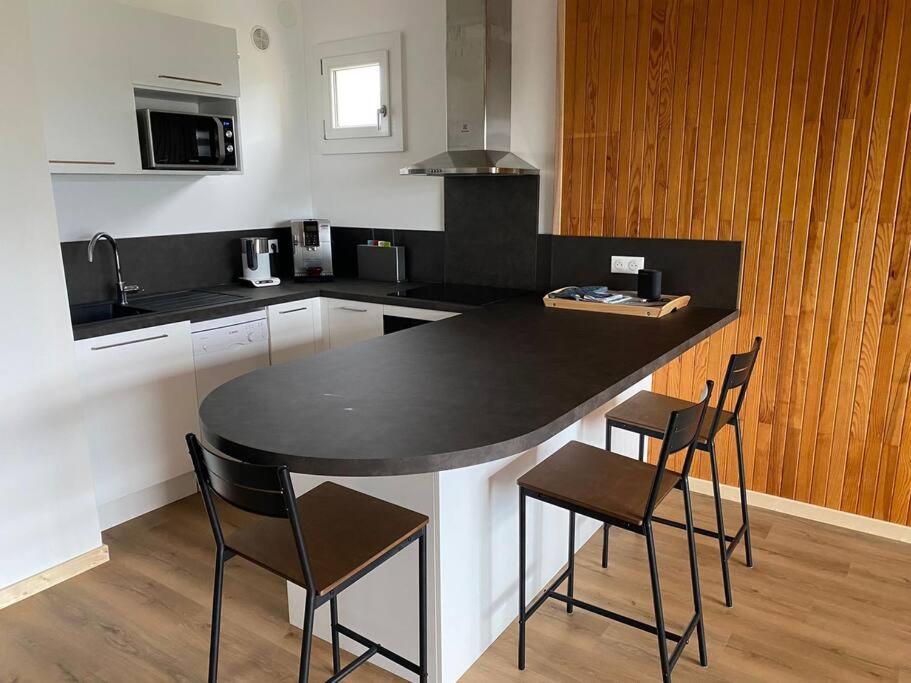 Appartement Au Plan D'Eau - Chez Laurence Embrun Extérieur photo